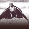 The Hawks Surrender